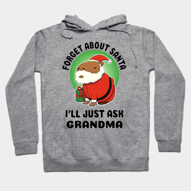 Forget about Santa I'll just ask Grandma Capybara Santa Hoodie by capydays